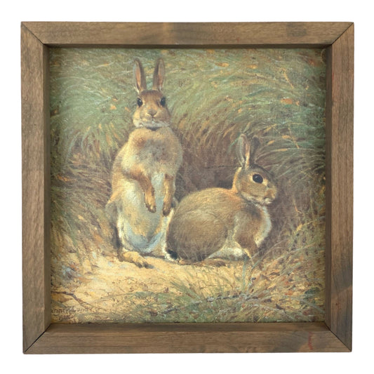 The Vintage Rabbit